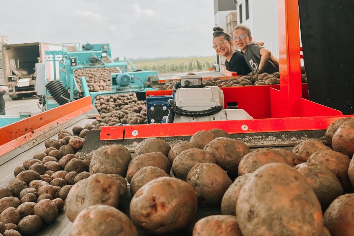 La population est conviée à une journée d’activités à la Ferme Yves Barré à Saint-Damase, le 17 août, de 11 h à 16 h, pour y découvrir notamment la culture de la pomme de terre. Photo Facebook Ferme Yves Barré