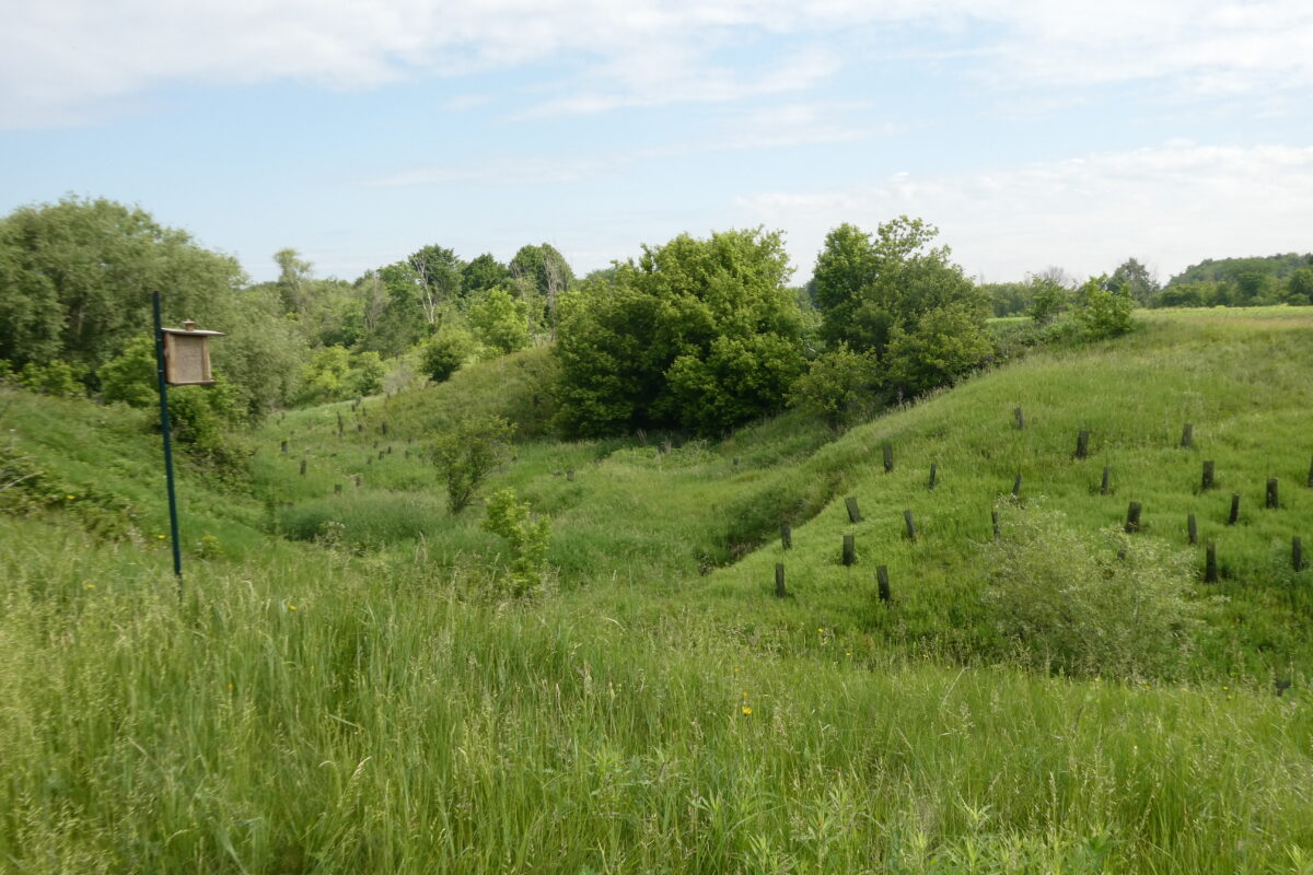 Un exemple de projet réalisé grâce au programme ALUS Montérégie. Photo gracieuseté