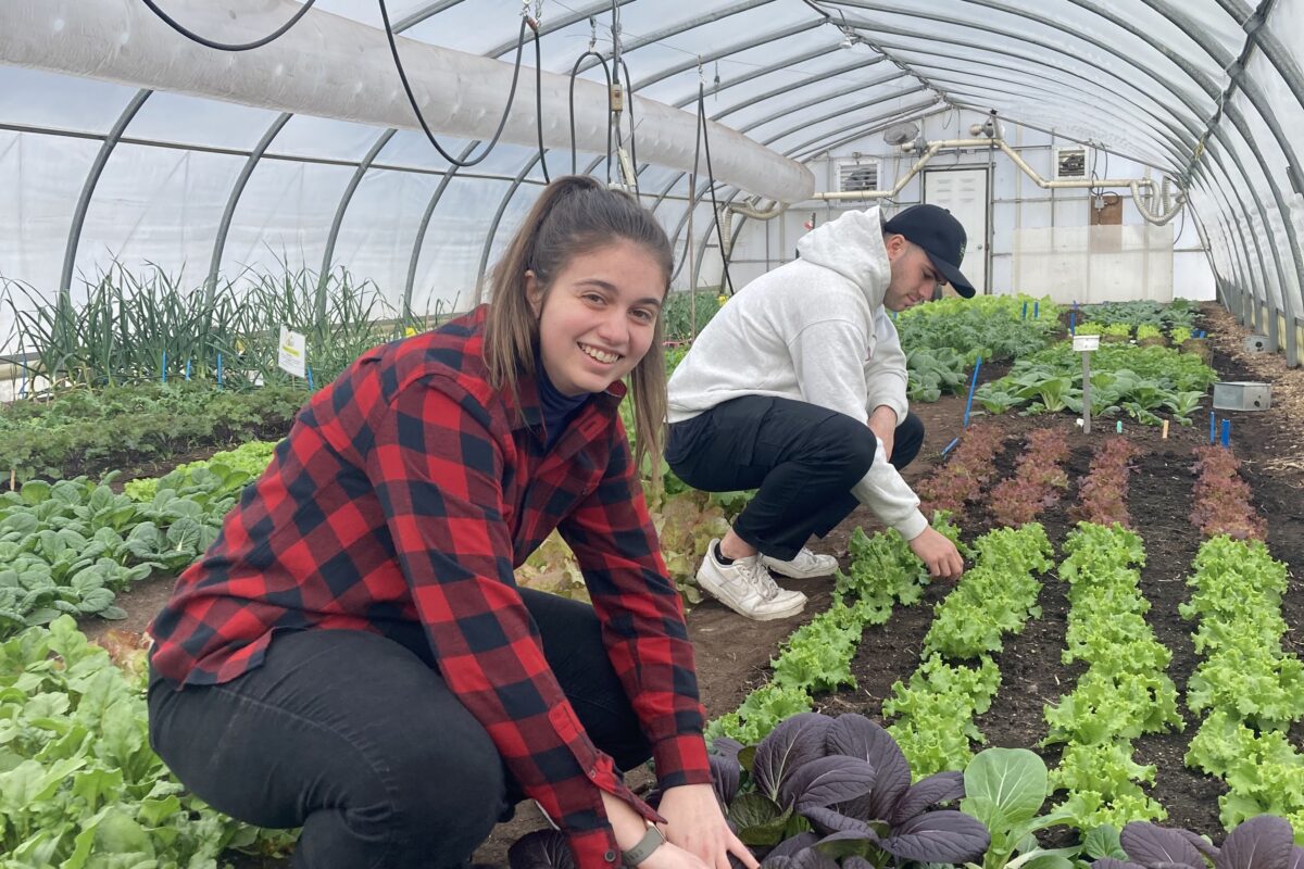 La Ferme-école Maskita de l’ITAQ ouvrira ses portes au grand public lors de l’événement Mangeons local 2025 de l’UPA, le 7 septembre. Photo gracieuseté