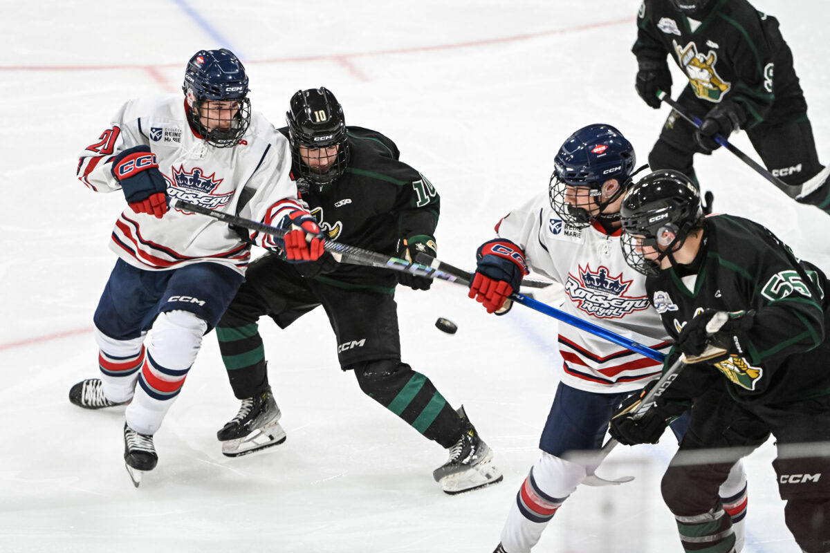 Les Gaulois ont dû s’avouer vaincus à leurs deux premiers matchs de la saison. Photo François Larivière | Le Courrier ©