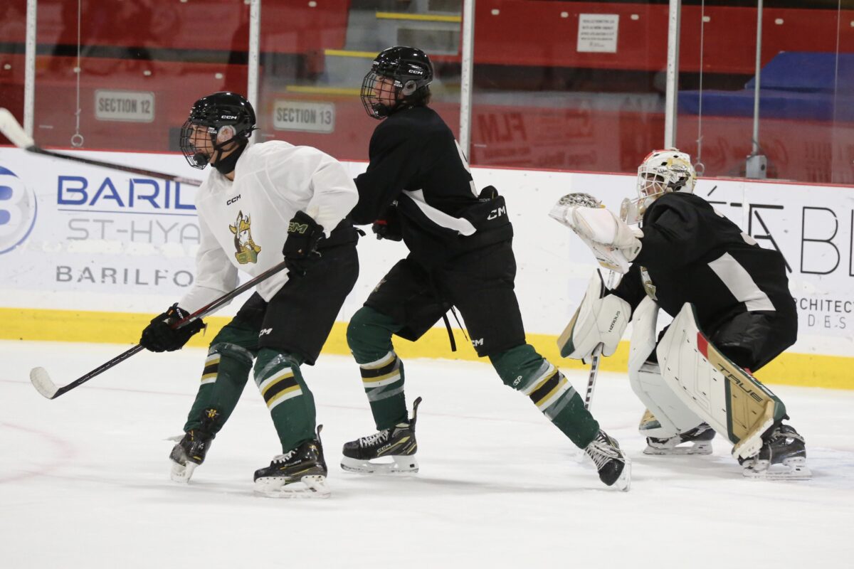 Les Gaulois de Saint-Hyacinthe donneront le coup d’envoi à leur saison vendredi. Photo Robert Gosselin | Le Courrier ©