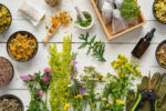 Conférence à la Société d’horticulture