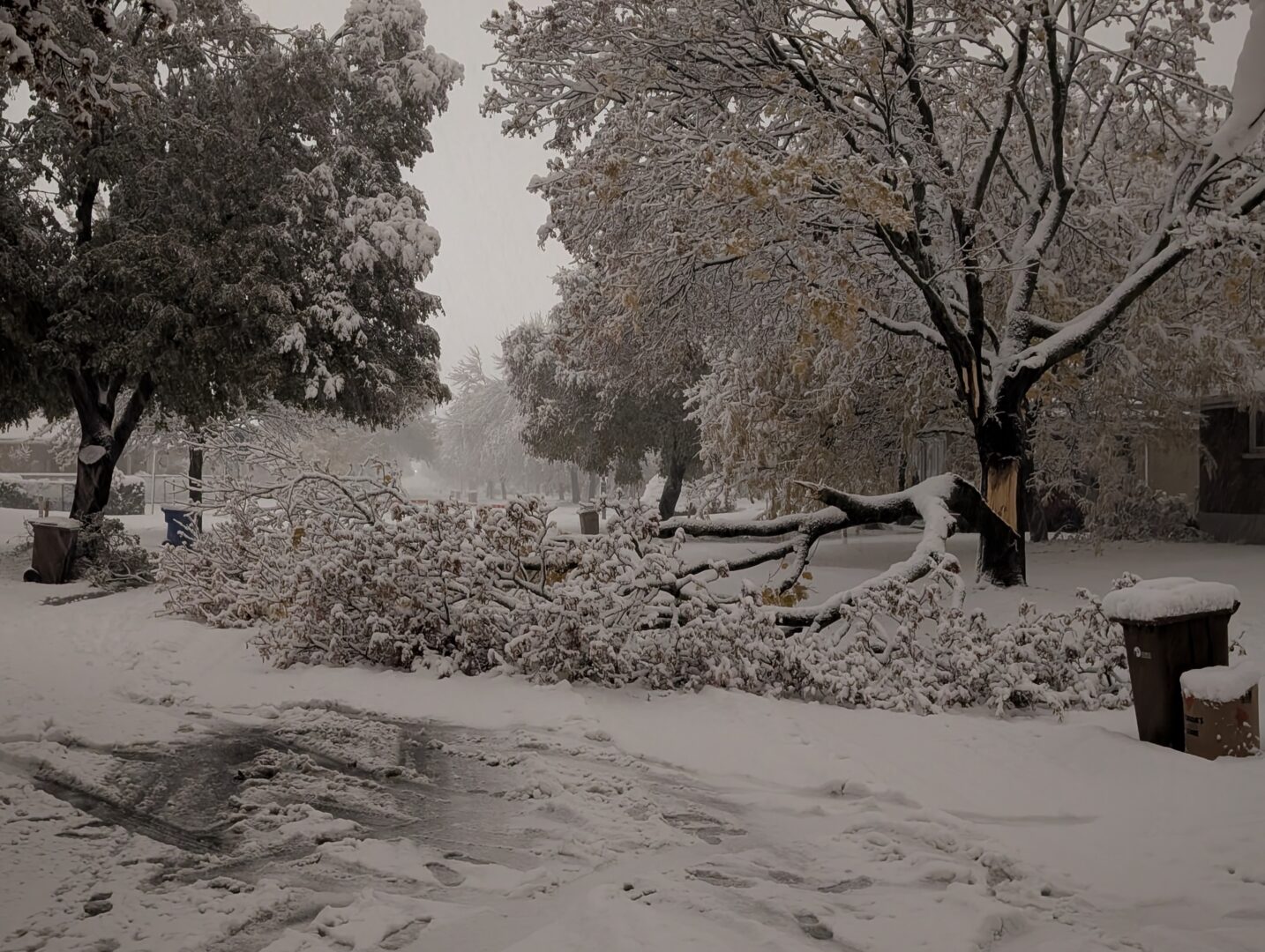 Écoles fermées et pannes de courant : l’hiver commence raide