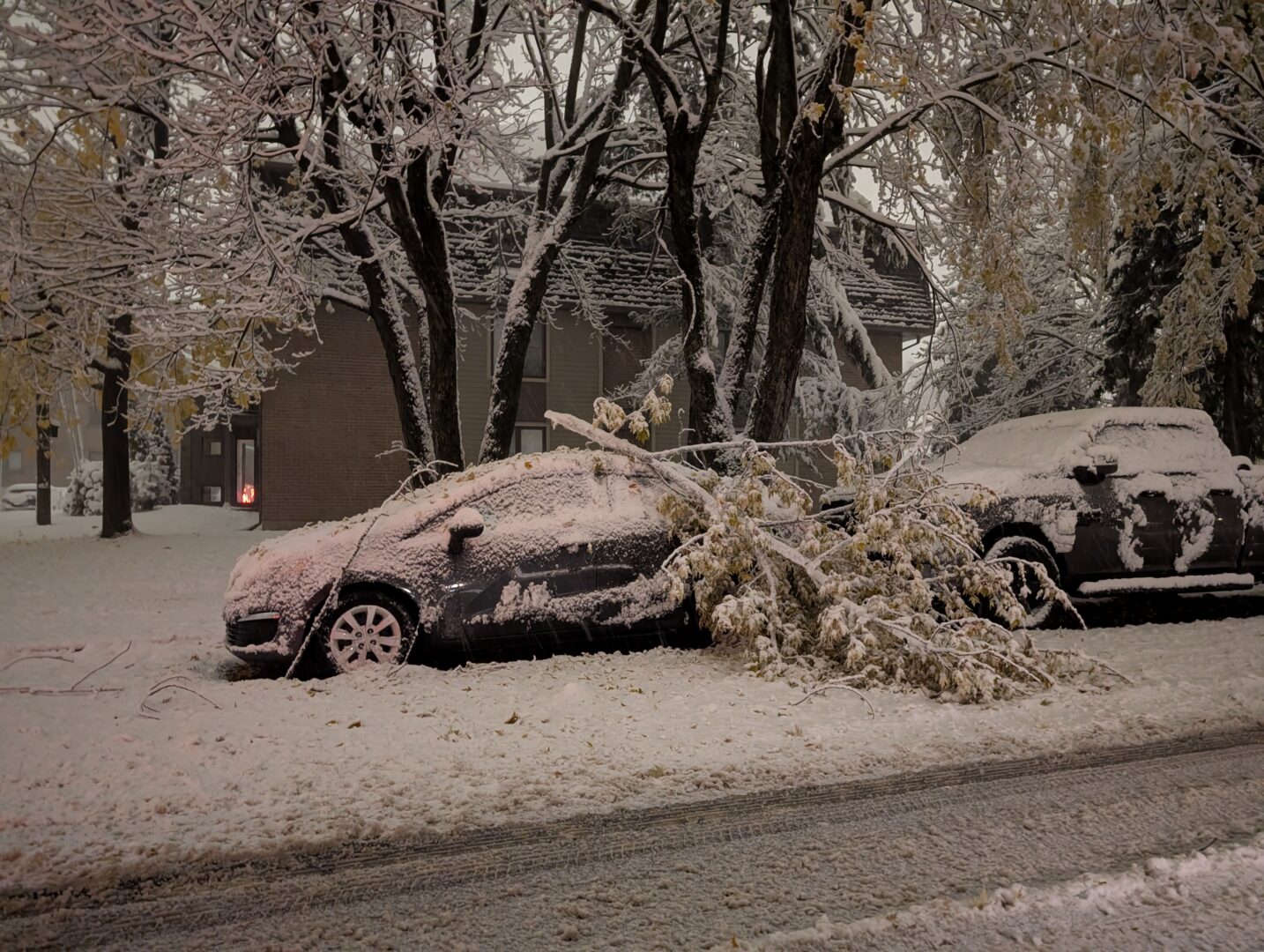 Hiver précoce avec 28 cm de neige