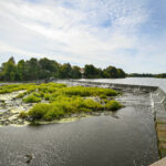 Photo François Larivière | Le Courrier ©