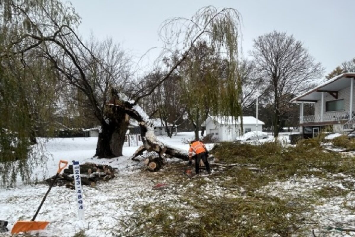 Les entreprises d’émondage de la région maskoutaine sont débordées depuis la tempête de neige du 11 novembre. La Ville de Saint-Hyacinthe a même décidé de lever temporairement l’obligation pour les propriétaires d’obtenir un permis pour faire abattre leurs arbres endommagés. Photo gracieuseté