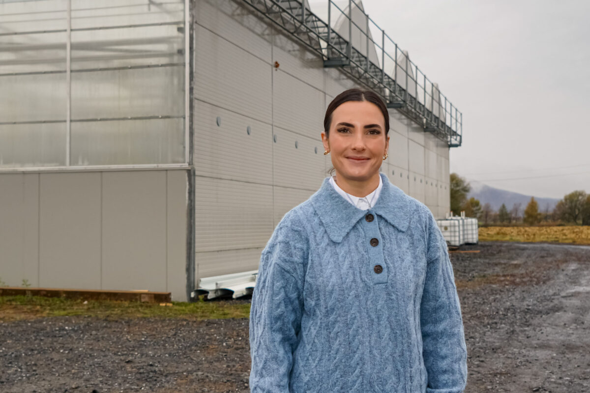 Pour Judith Lussier, fondatrice et directrice générale des opérations de Tomaté à Saint-Damase, l’acquisition des installations d’Excel-Serres, aussi producteur de tomates dans le même village, allait de soi pour poursuivre la croissance de son entreprise. Photo François Larivière | Le Courrier ©
